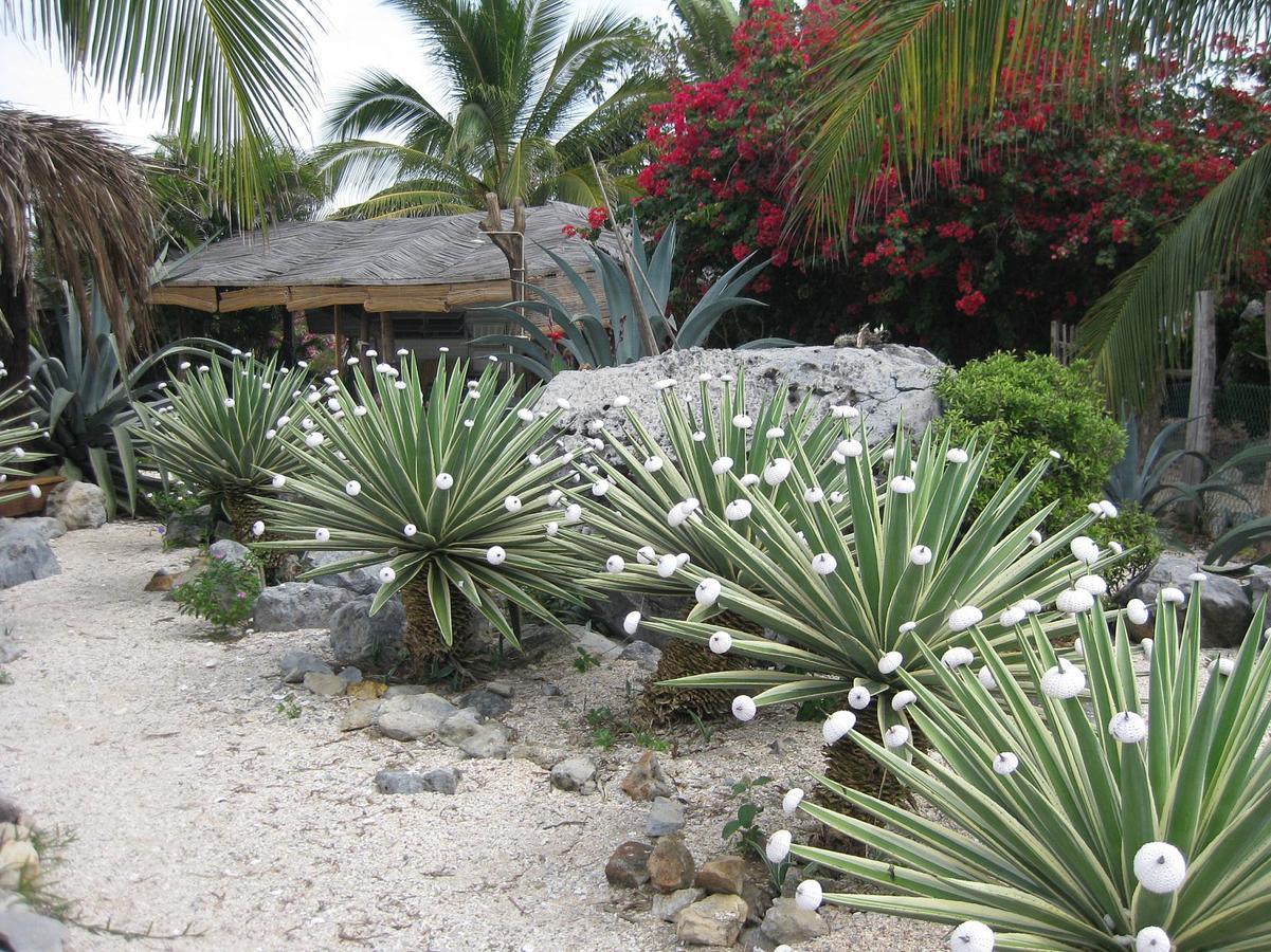 Casa las Piedras Bed and Breakfast Troncones Exterior foto